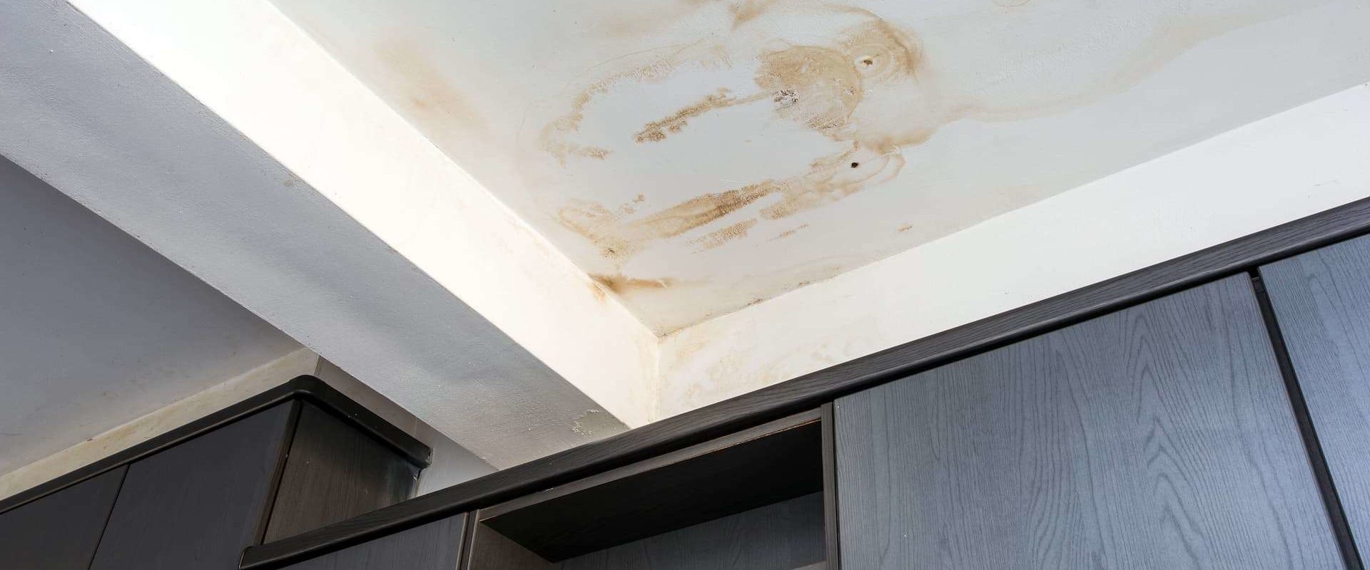Does Homeowners Insurance Cover Mold From Roof Leak Does Homeowners Insurance Cover Mold From Roof Leak
