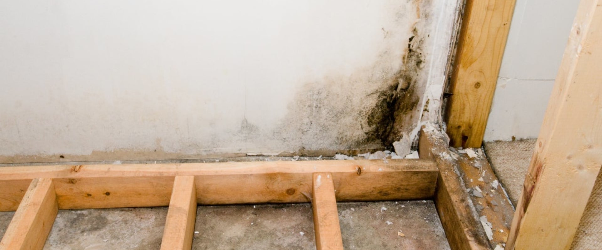 Does insurance cover mold under house?