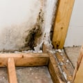 Can mold be claimed on homeowners insurance?