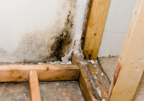 Does insurance cover mold under house?