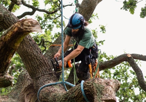 Will home insurance cover tree removal?